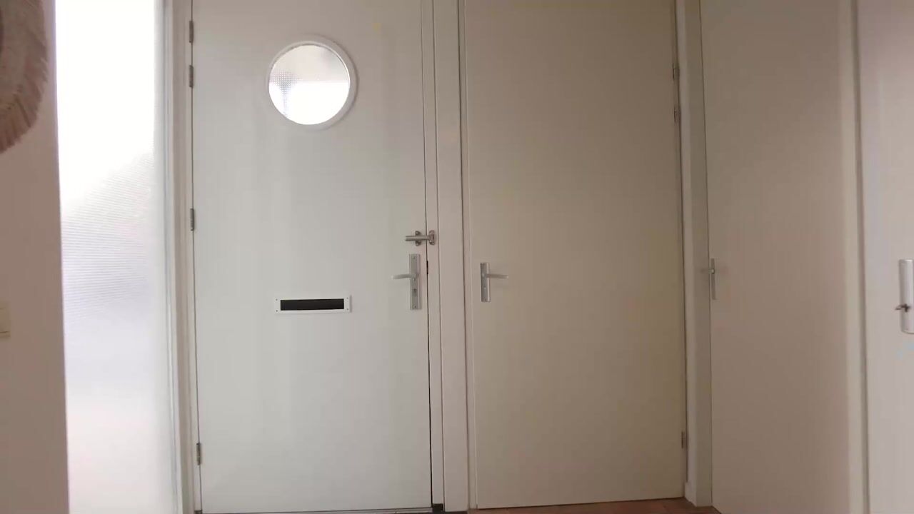 Video van Gele lis 36