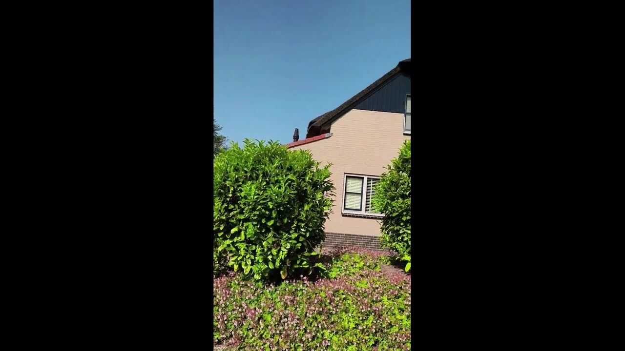 Video van Zwanenbalg 34