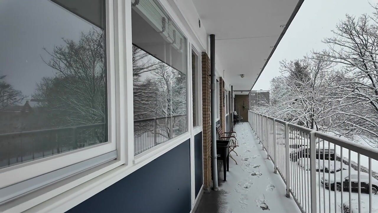 Video van van Goyenlaan 133