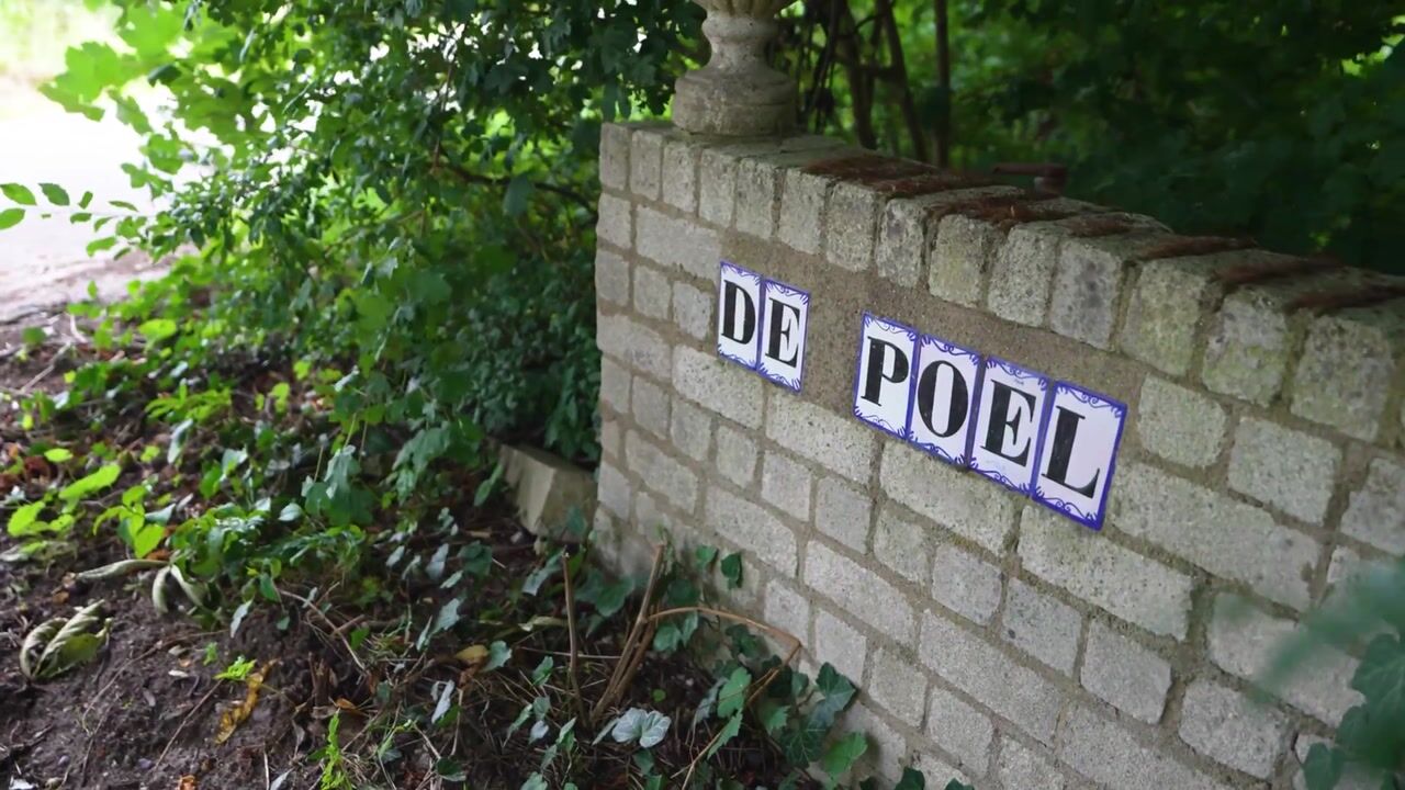 Video van Rijnbandijk 151
