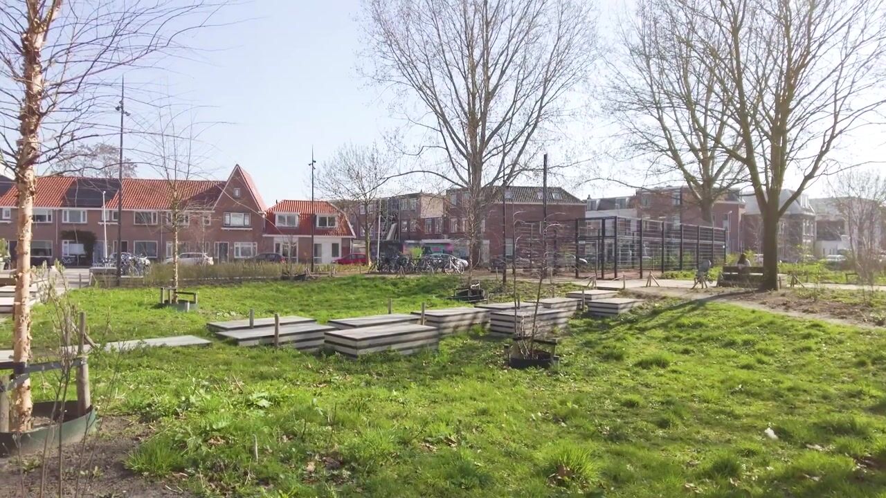 Video van 2e Daalsedijk 149