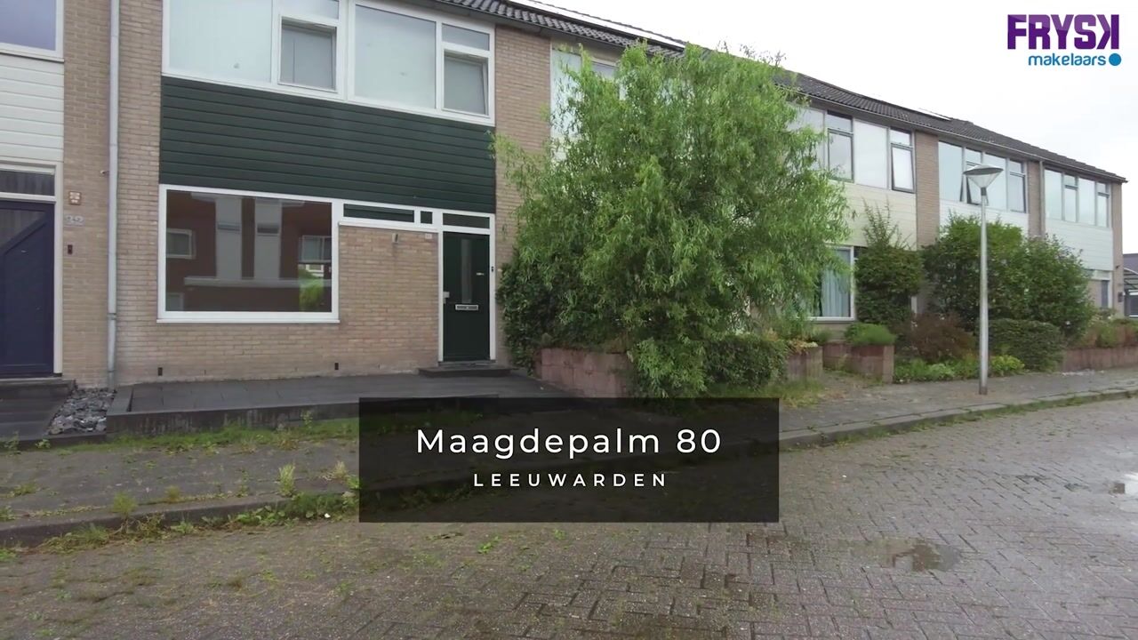 Video van Maagdepalm 80