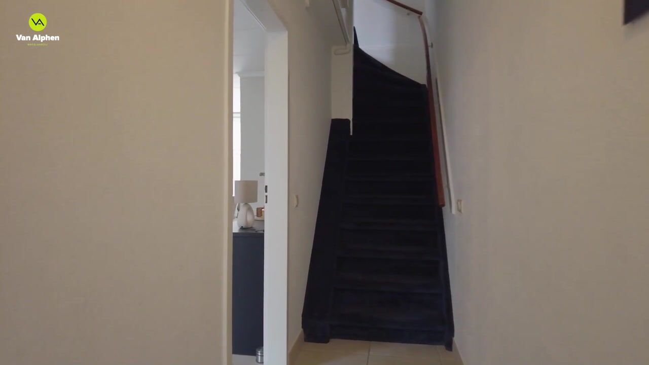 Video van Meerkoet 10