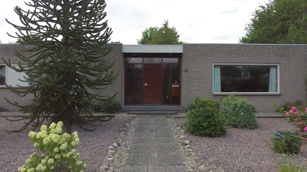 Video van Vogelenzang 4