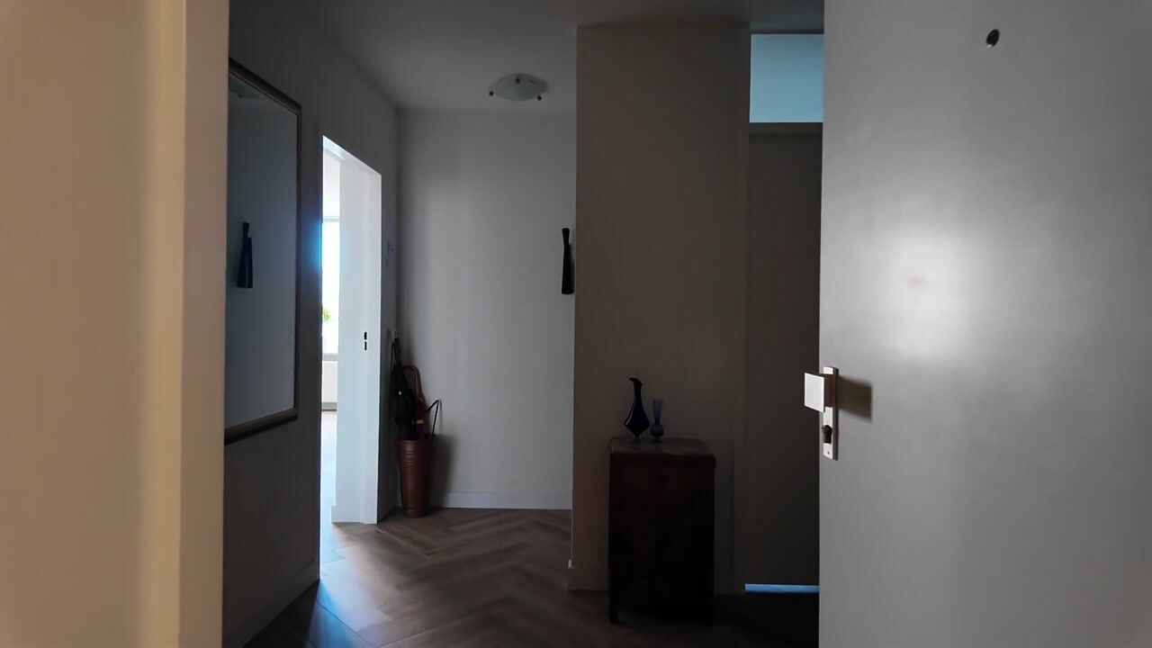 Video of Waterlooplein 114