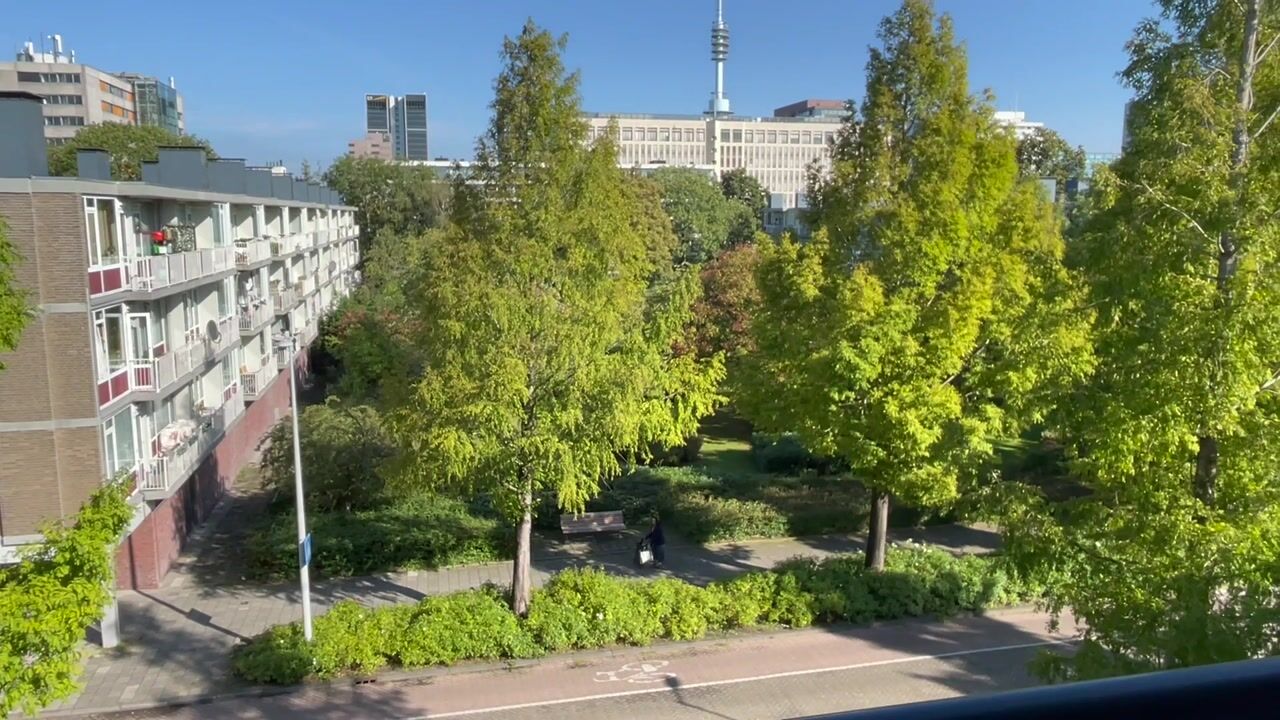 Video van Havikshorst 115