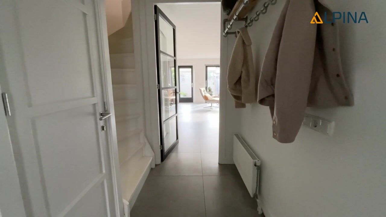 Video of Zandhaver 20