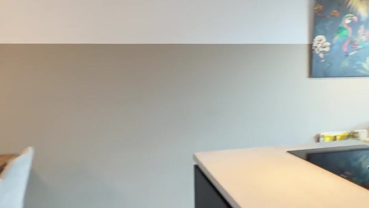 Video van Smidse 13