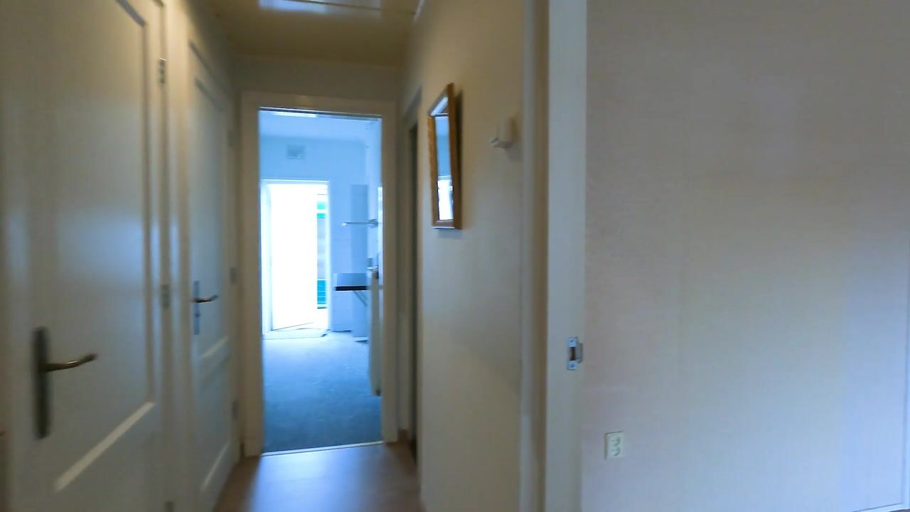 Video of Van der Gaagstraat 7