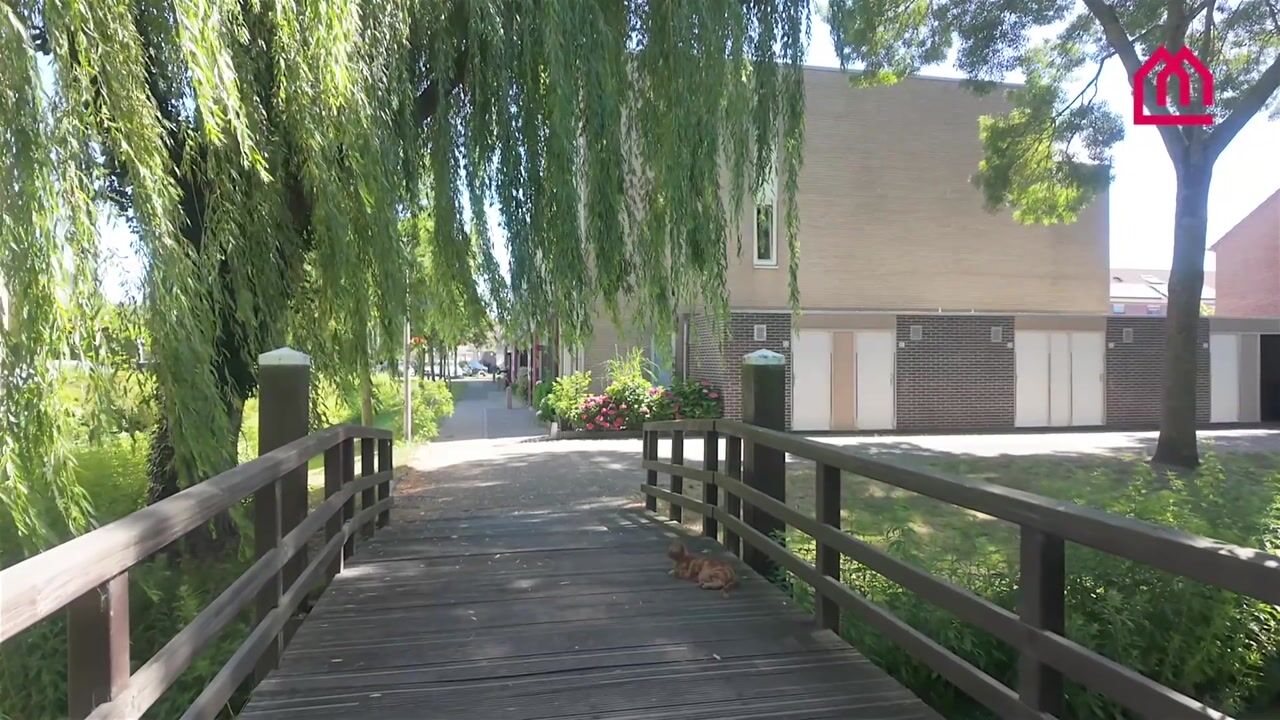 Video van Clusiusstraat 33