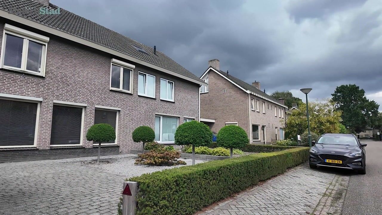 Video van Struikhei 6