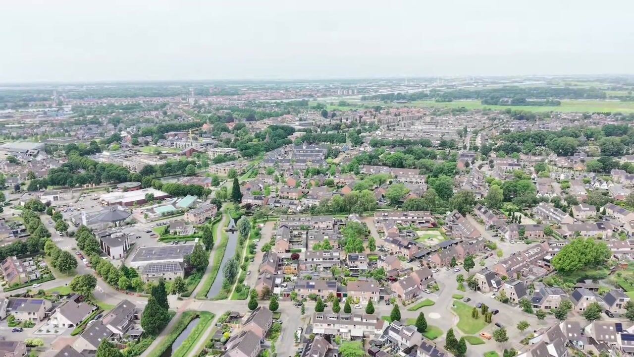 Video van Goudplevier 144