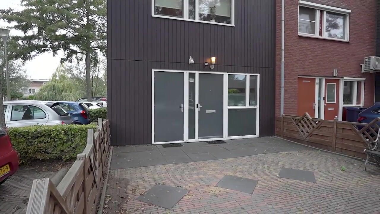 Video of Gele Lis 156