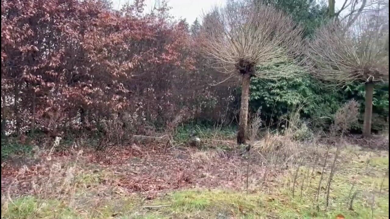 Video van Johan Frisostraat