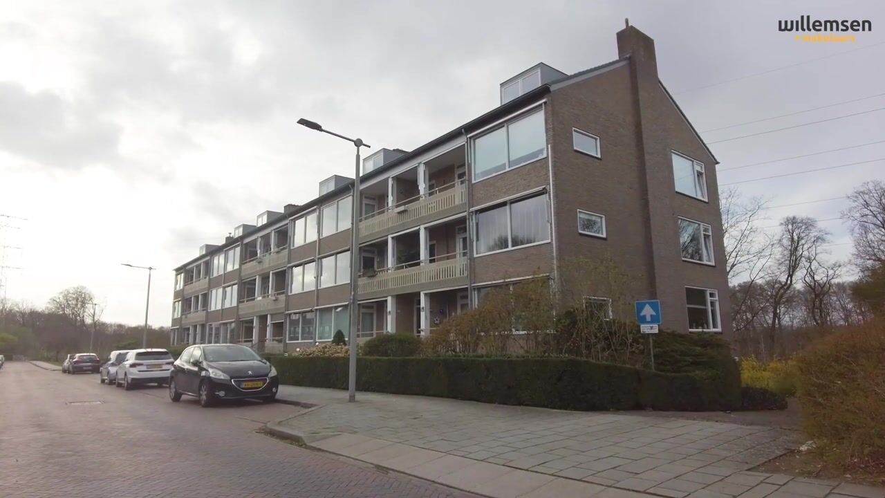 Video van Witsenstraat 12-3