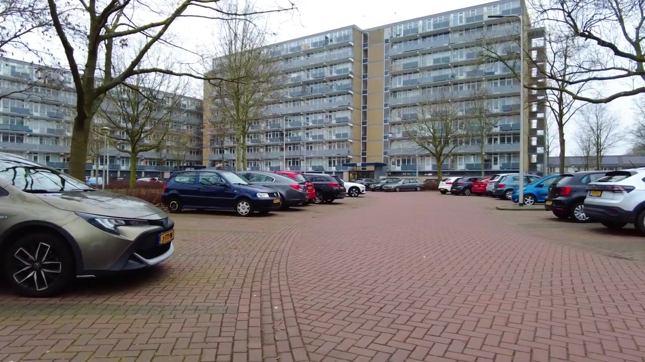 Video van Lupinesingel 270