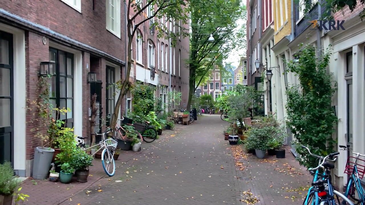 Video van Schippersstraat 17