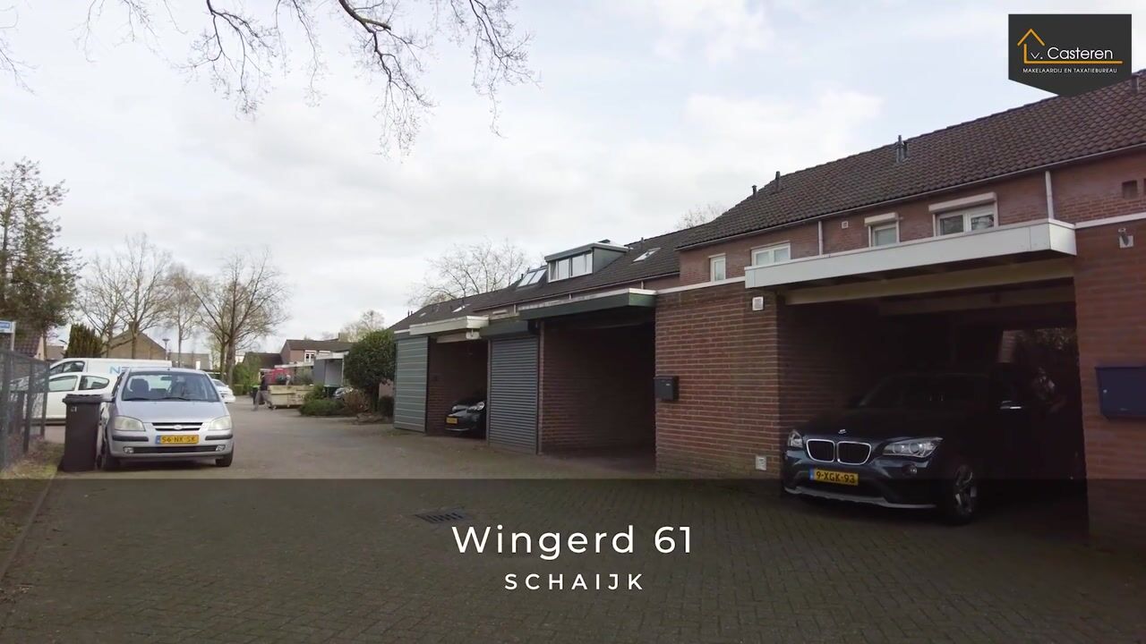 Video of Wingerd 61