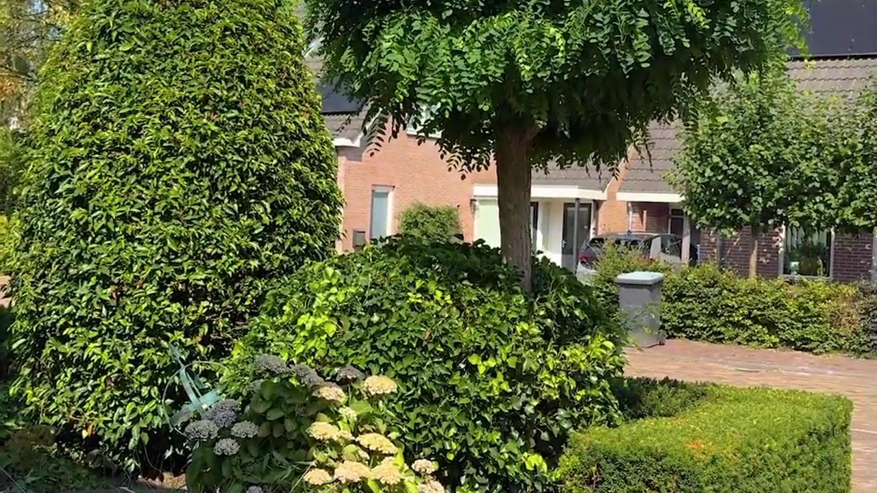 Video van Liemkoele 12