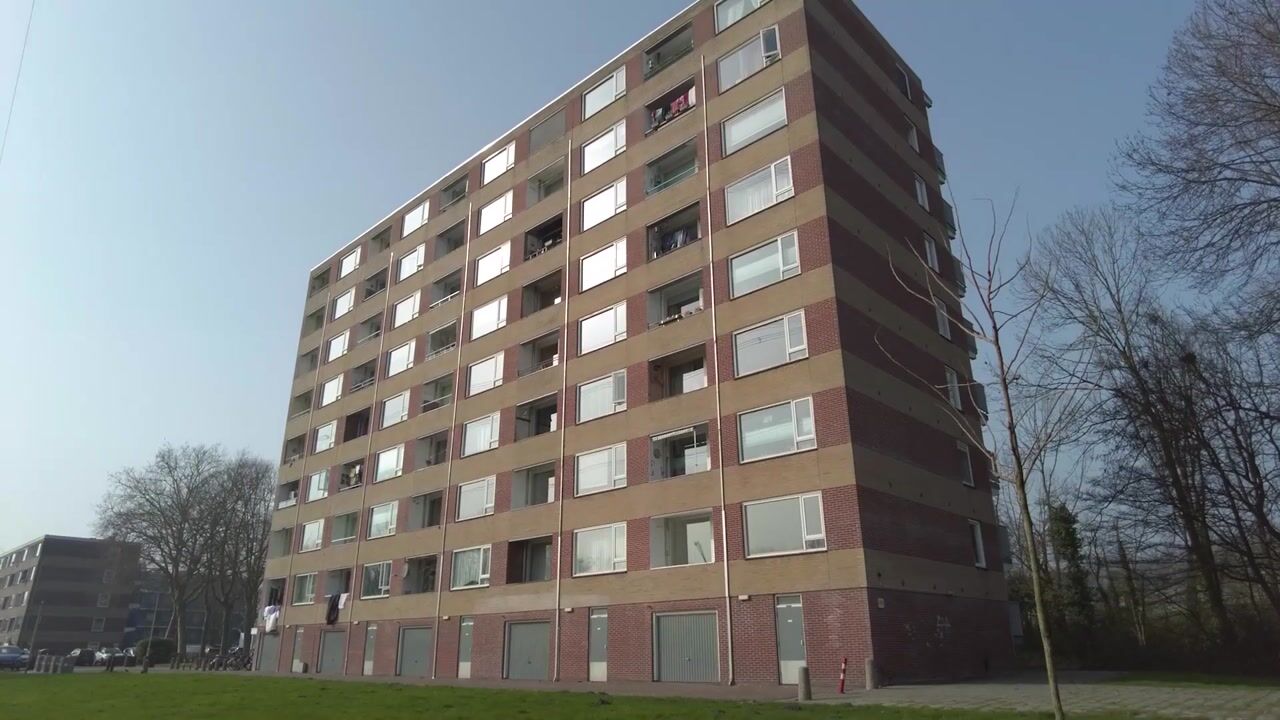 Video van Fluitekruidweg 159