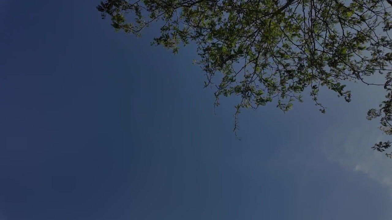 Video of Cassandraplein 5-34