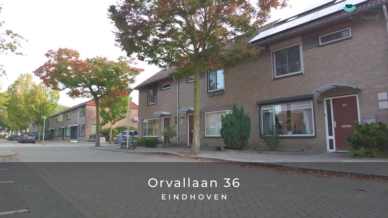 Video of Orvallaan 36