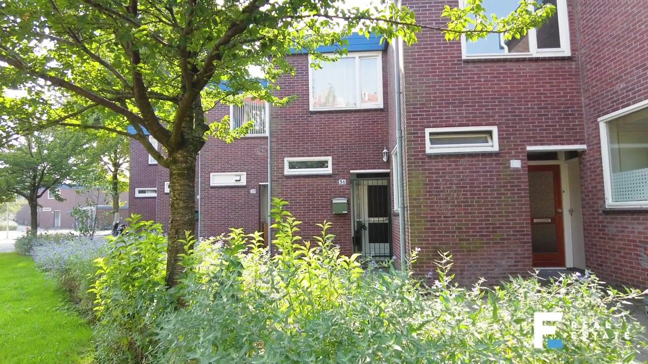 Video van Theodorus Majofskistraat 36