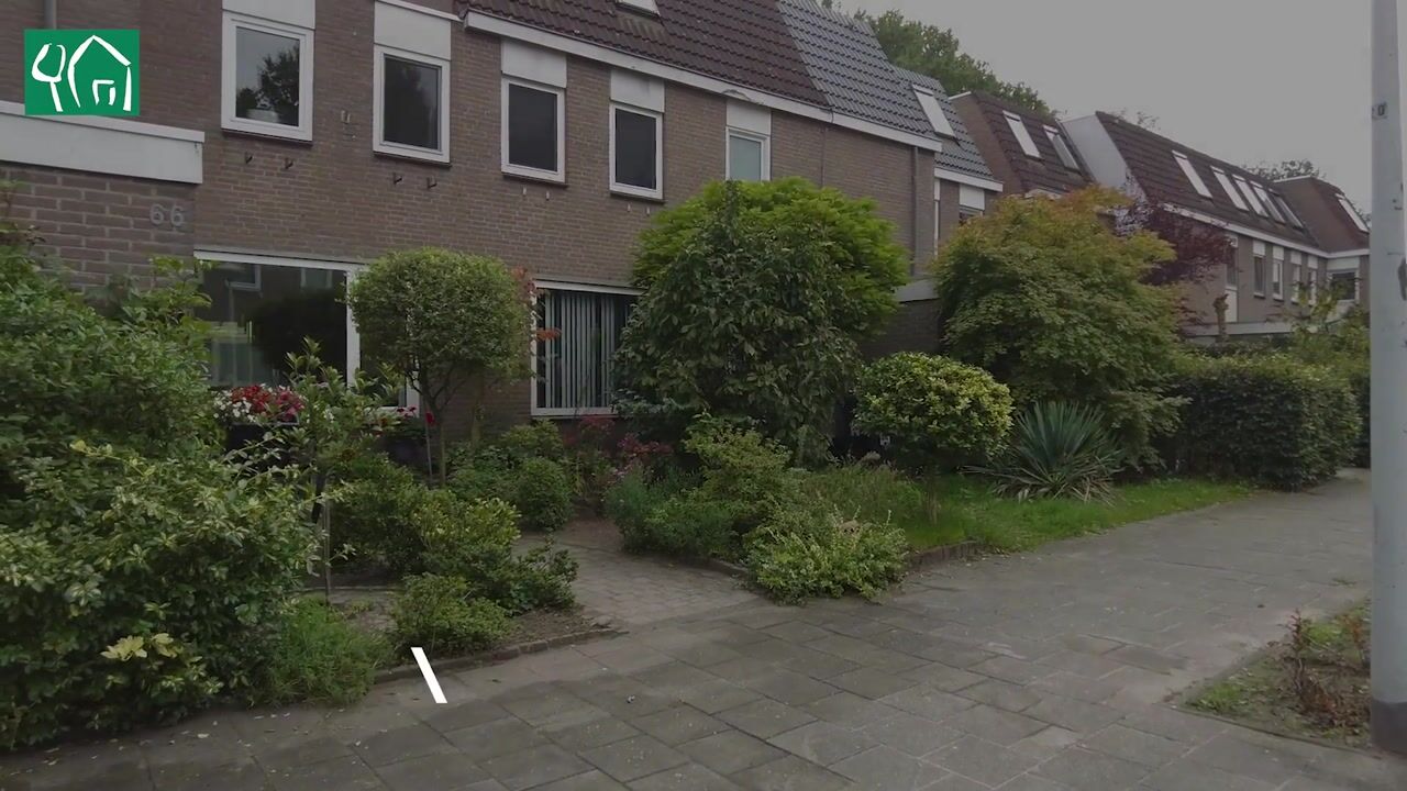 Video van Johan Frisopark 66