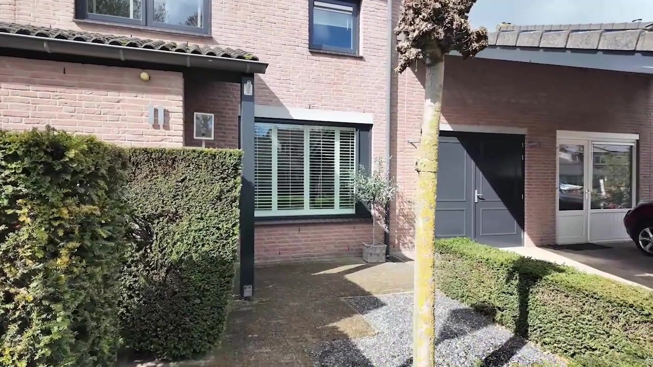 Video of Nemelaer 11