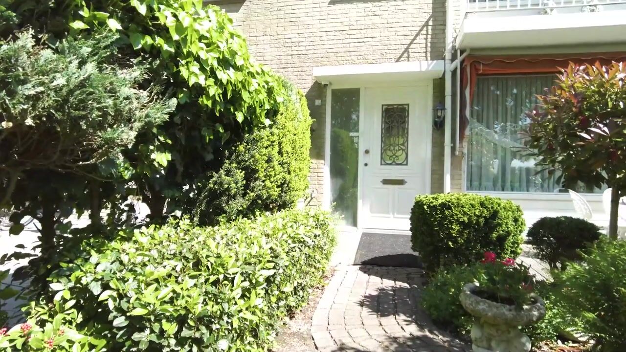 Video van Singel 43