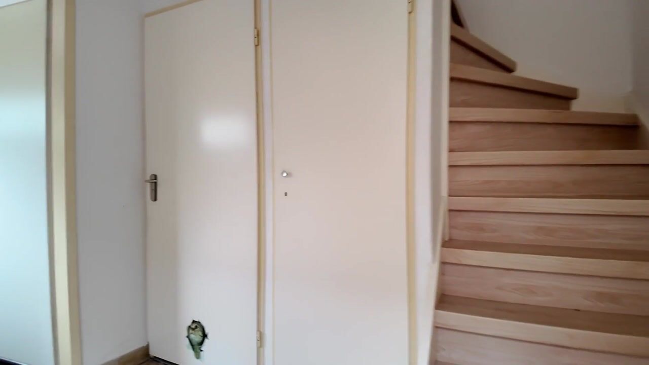 Video van Jan van Eijckstraat 11