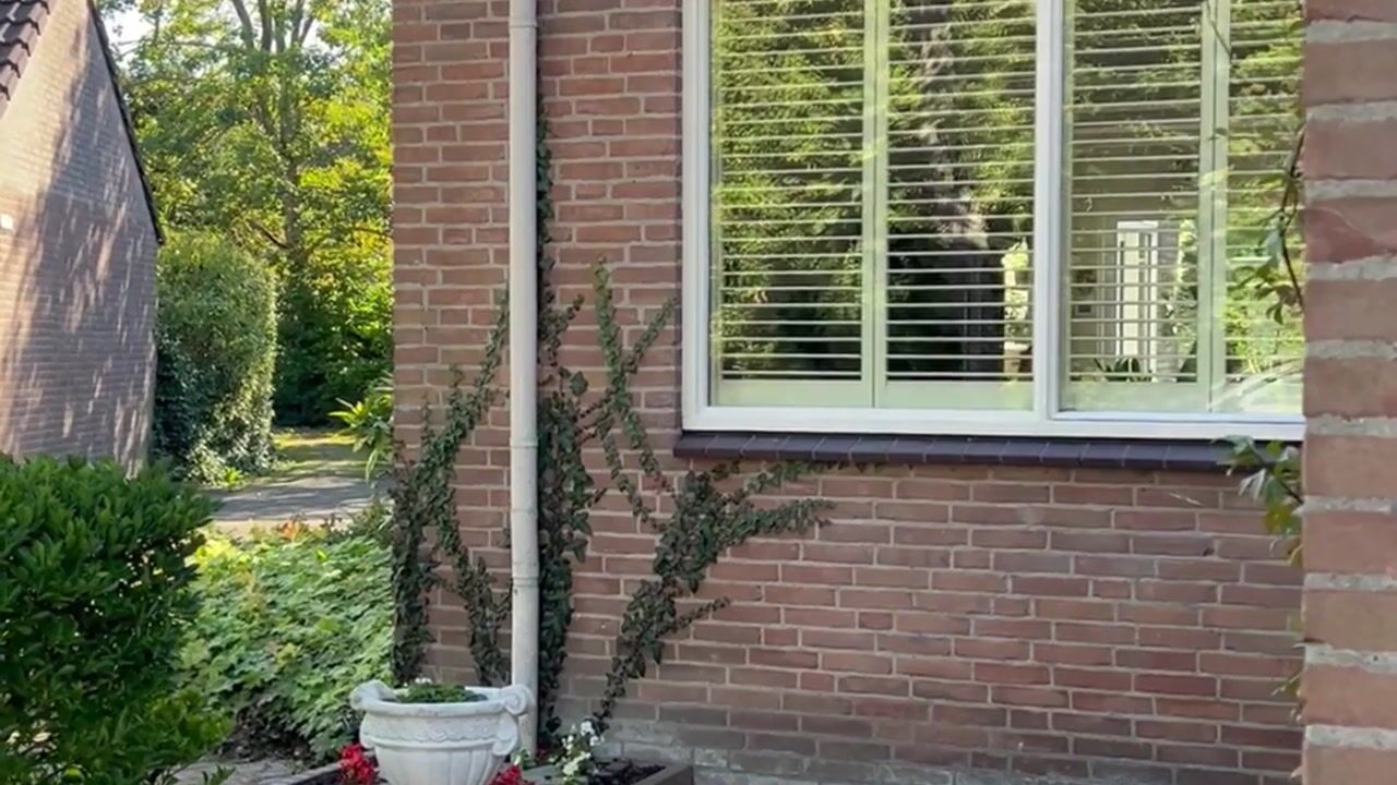 Video of Boekenstein 61