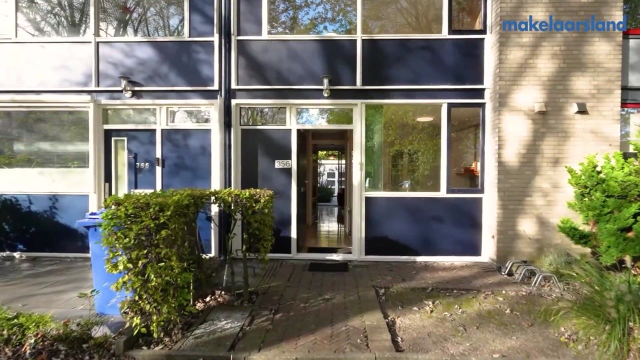 Video of Pijperring 356