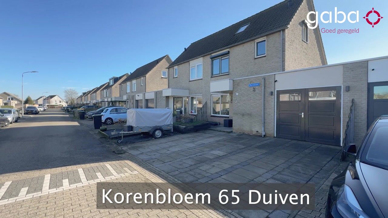 Video of Korenbloem 65