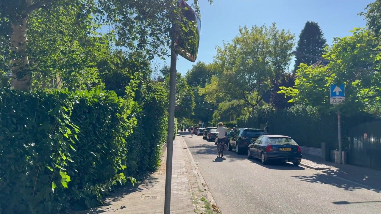Video van Dalweg 19