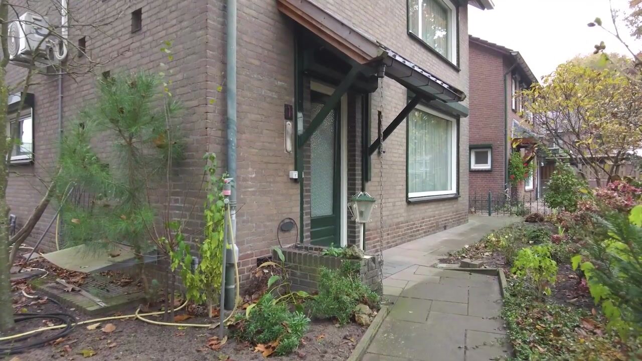 Video of Zwanensingel 1