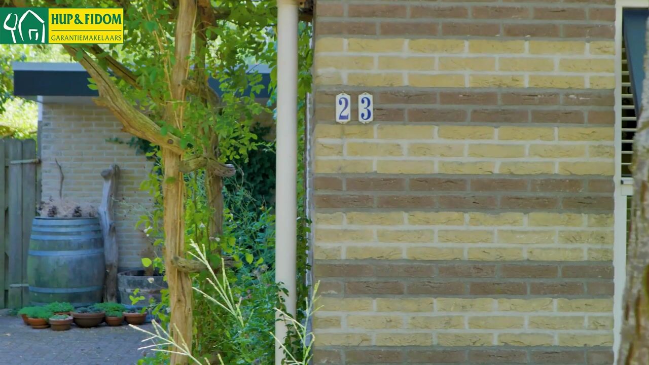 Video van Kolibrievlinder 23