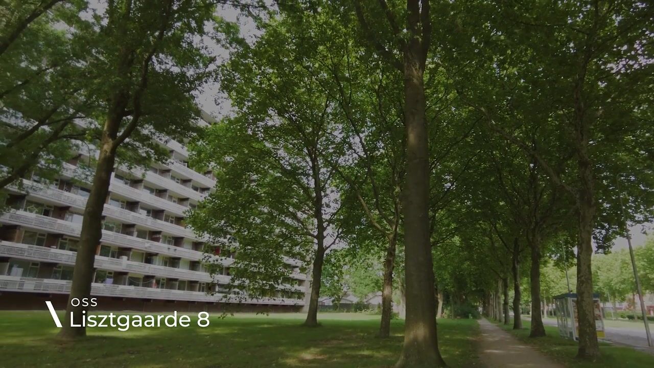 Video of Lisztgaarde 8