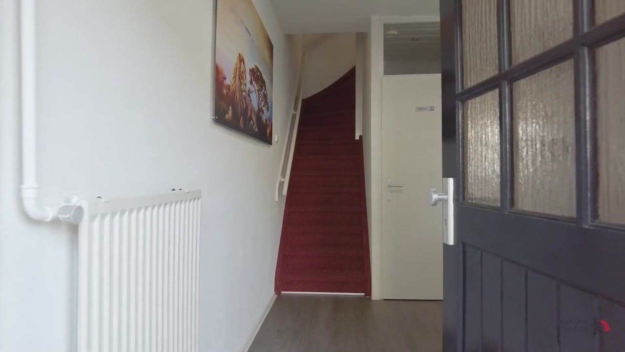 Video van Dasseburcht 13