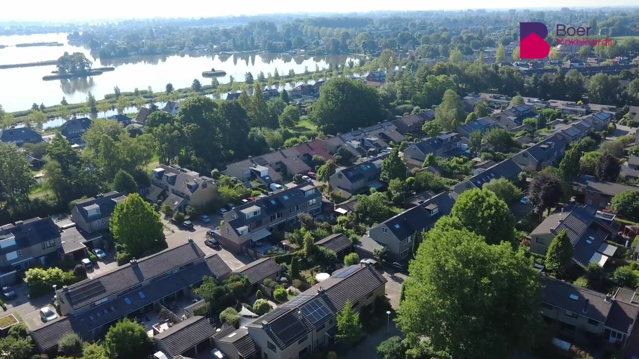Video of Waterlelie 67