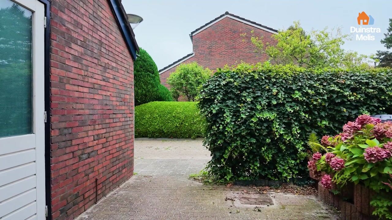 Video of Zenegroen 145
