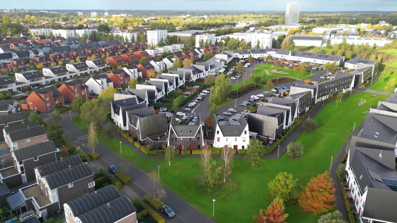 Video van Boomblauwtje 58