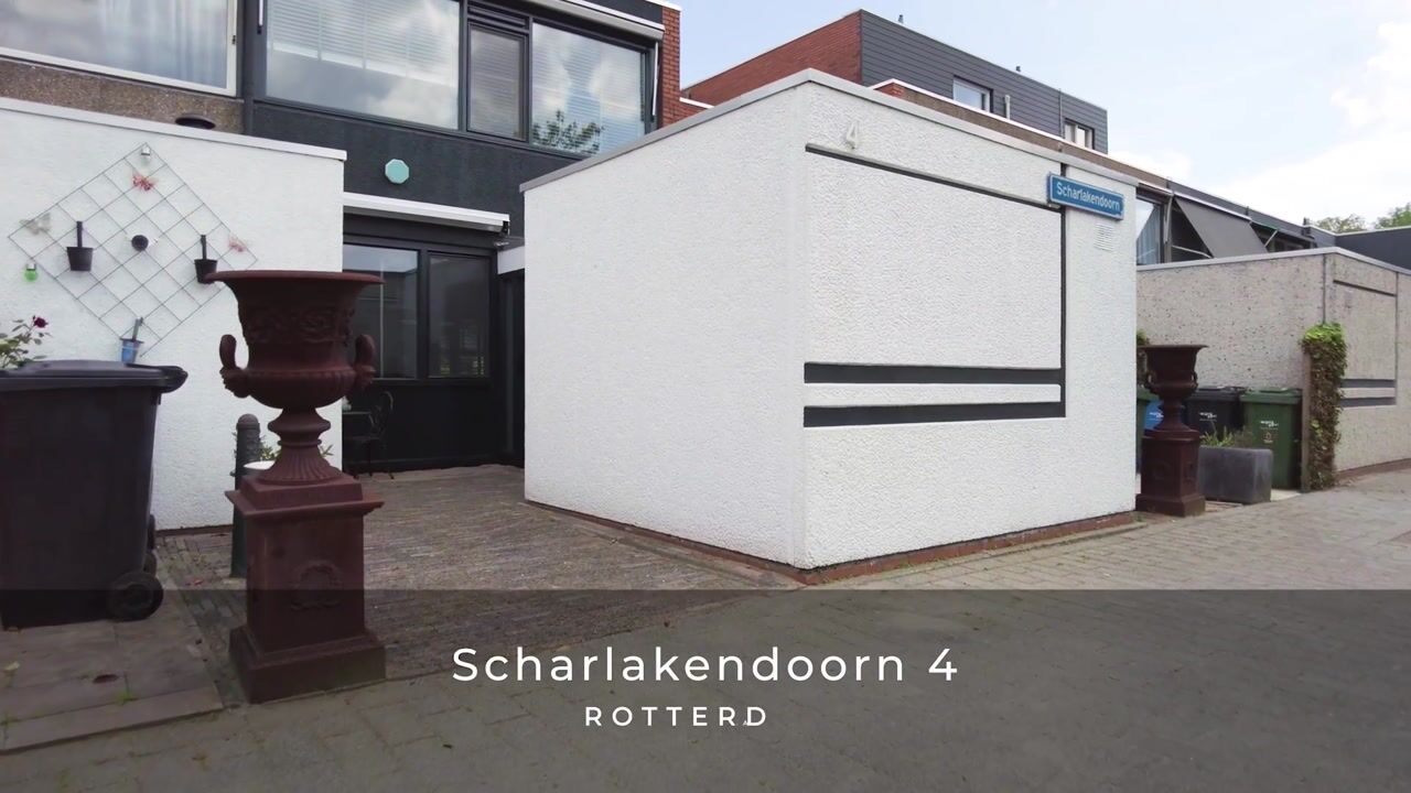 Video van Scharlakendoorn 4