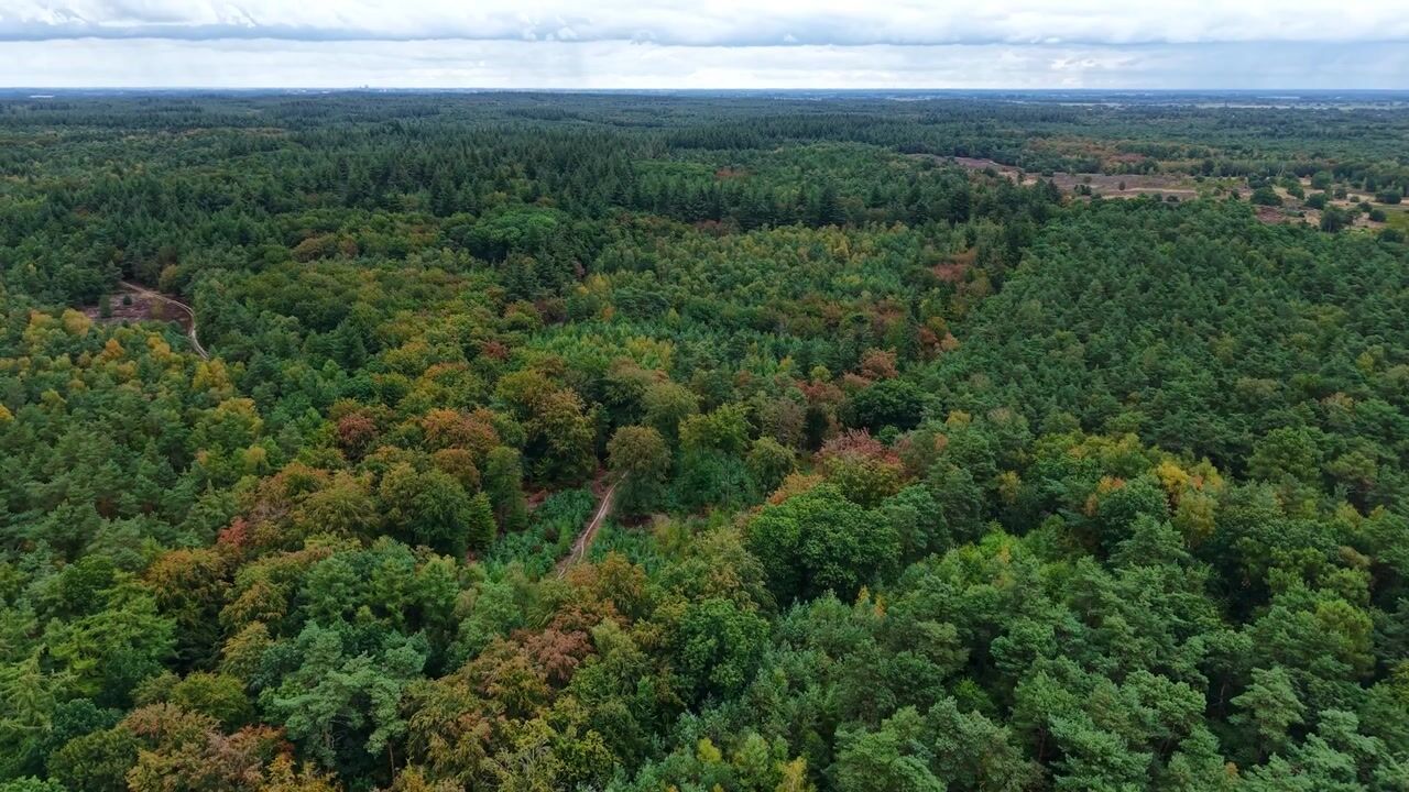 Video van Koerbergseweg 2