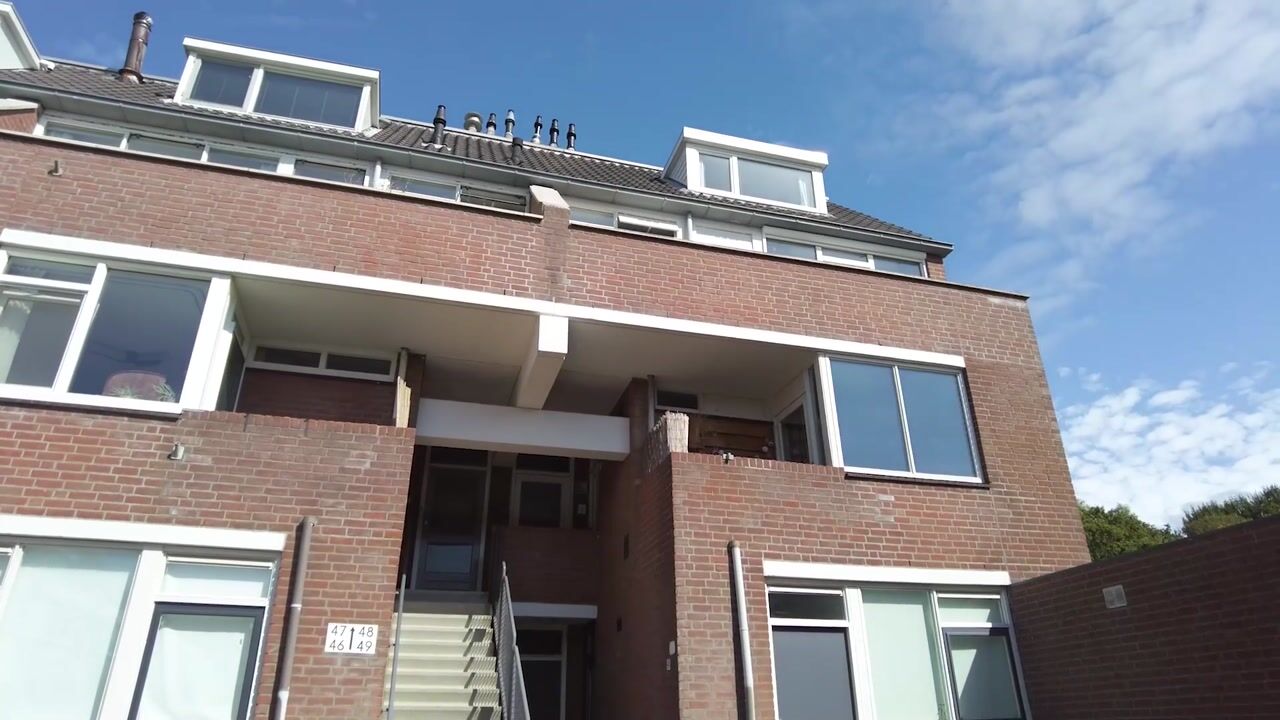 Video van Venus 48