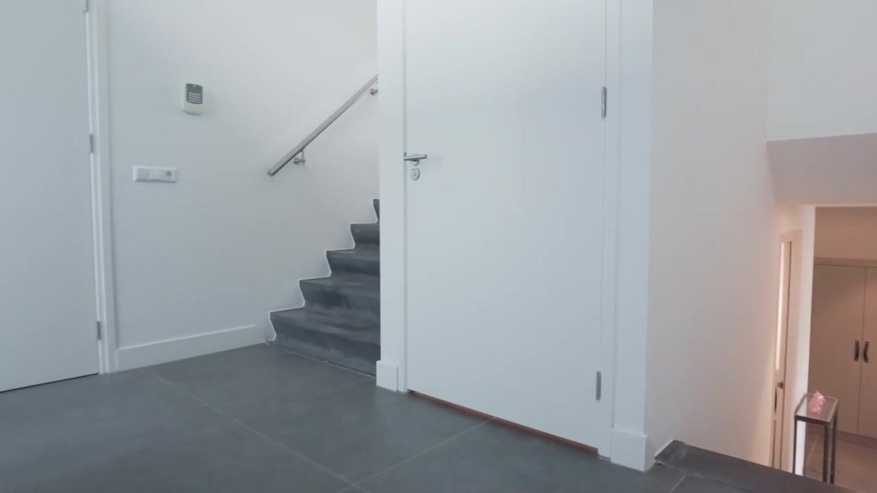 Video of Wilhelminapolderweg 21