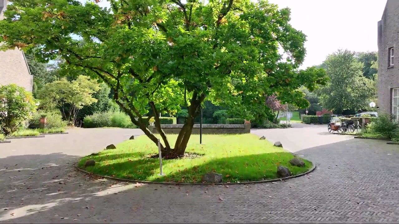 Video of Congregatie 58