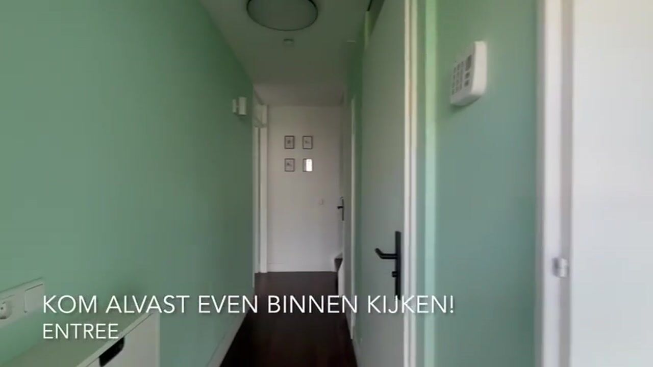 Video van Schipluidenlaan 65