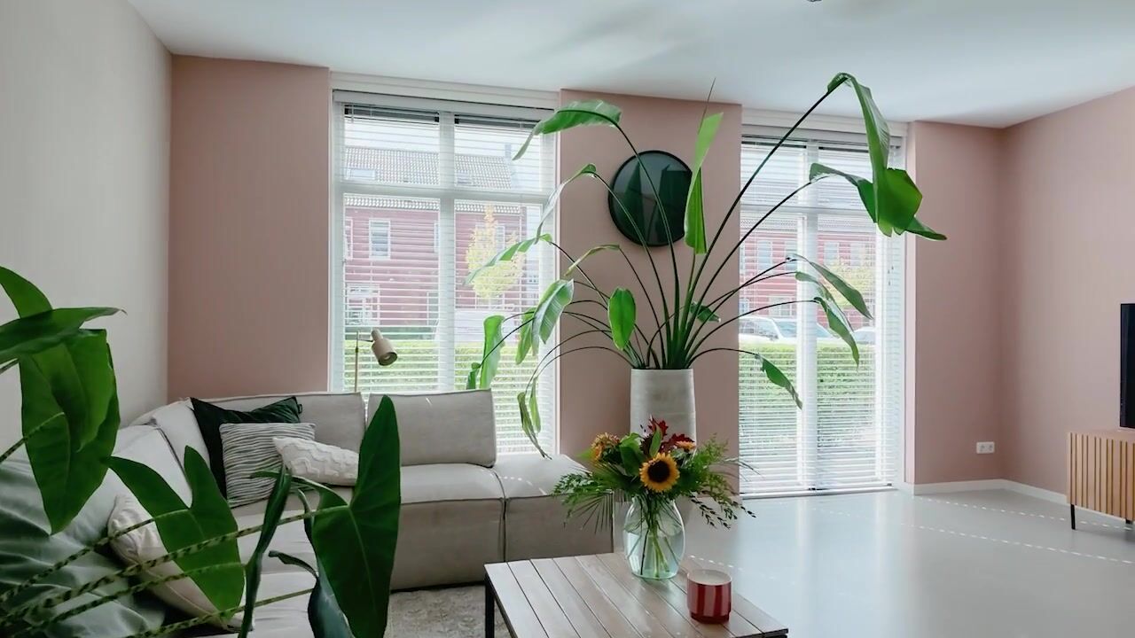 Video van Bemsingel 4