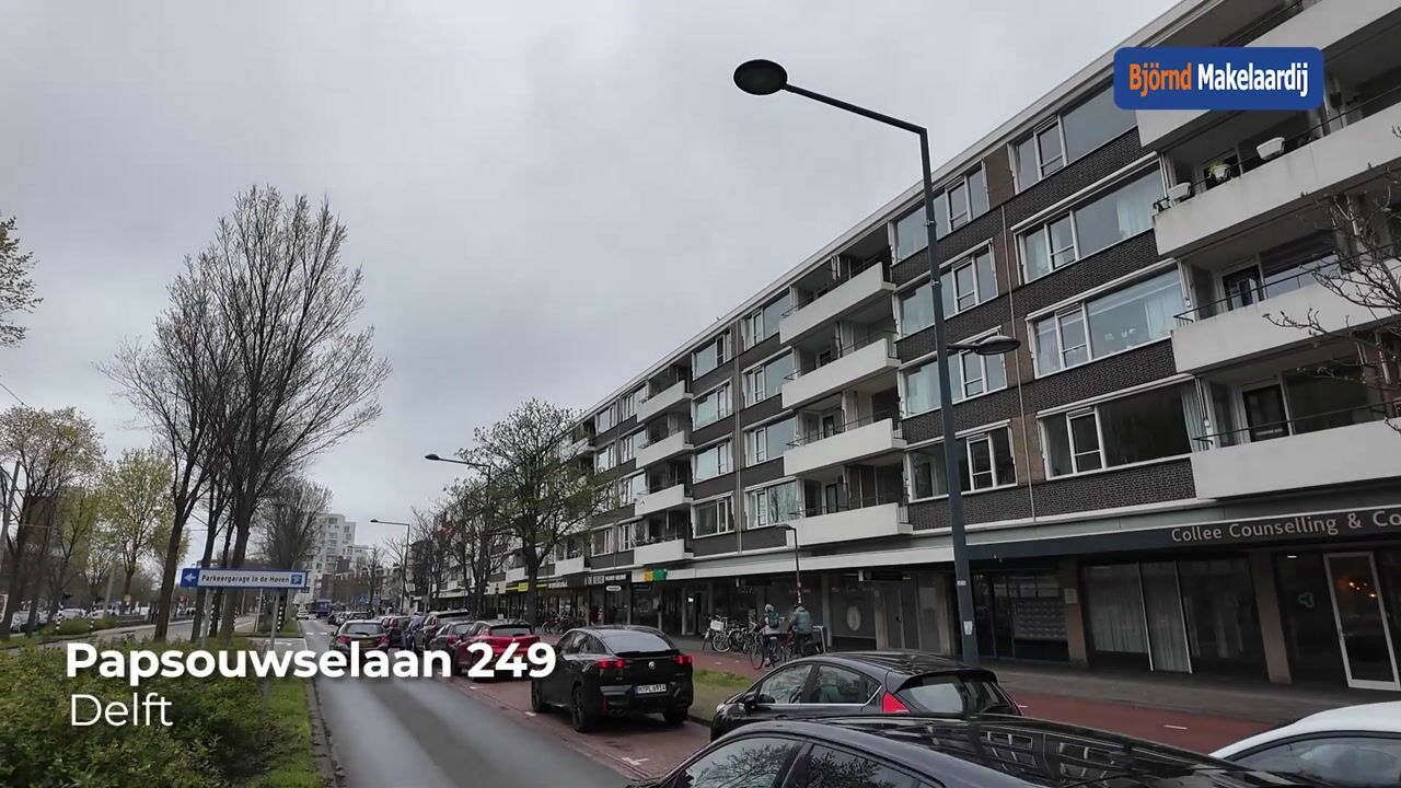 Video van Papsouwselaan 249